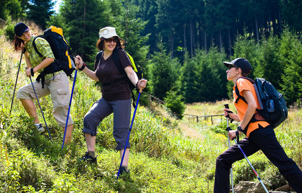 Wandern im Bayerischen Wald